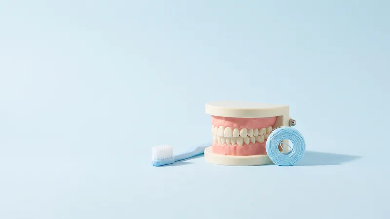 Model dentar cu gingii roz și dinți albi, lângă o periuță moale și un fir de ață dentară, pe fundal albastru pal