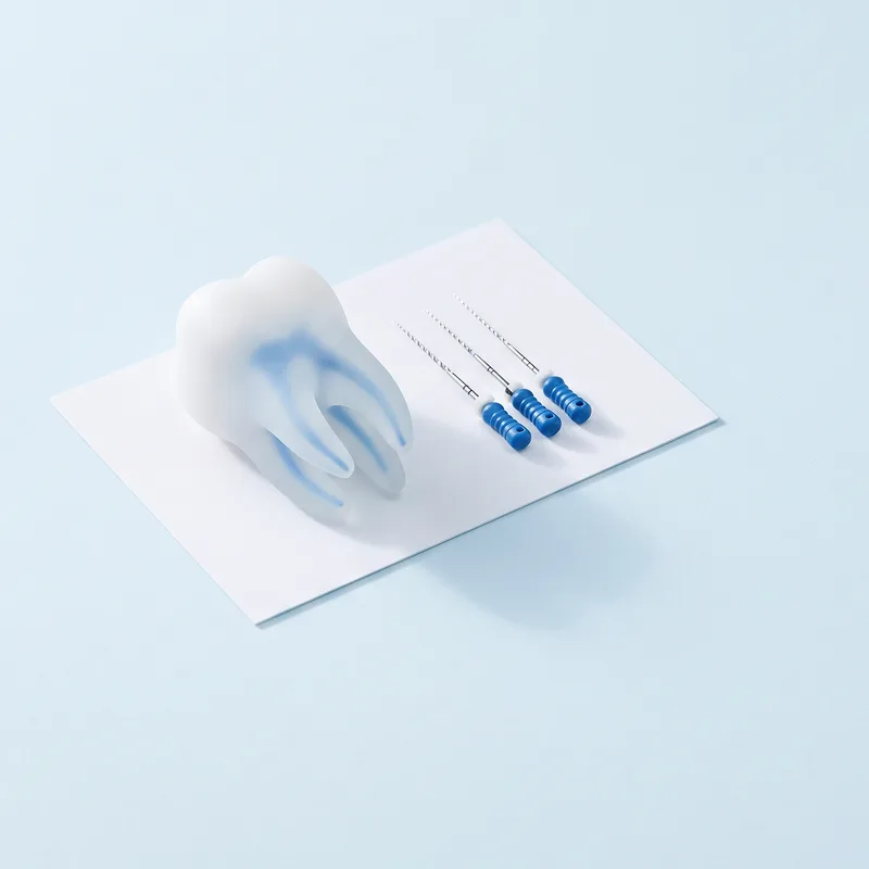Model de molar cu canale vizibile pe un card alb, lângă ace endodontice