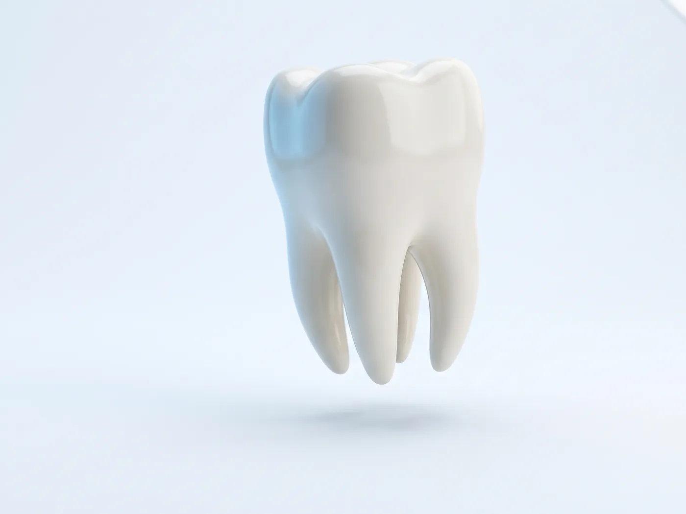 Model al unui molar de minte cu rădăcinile întregi